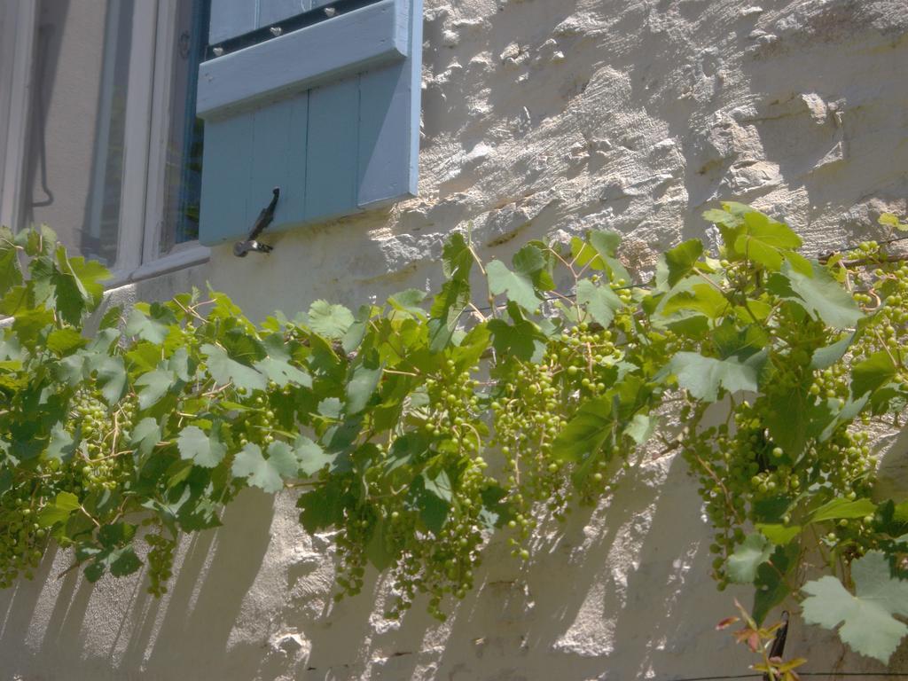 Les Trois Croix Villa Santenay  Buitenkant foto